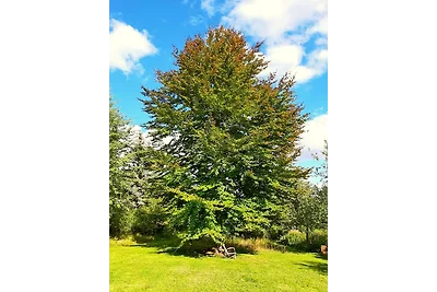 Die Malche Gäste- und Tagungshaus