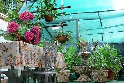 Vakantieappartement Gezinsvakantie Cienfuegos