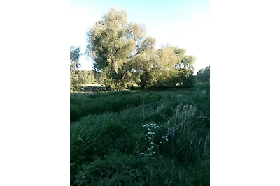 Appartamento Vacanza con famiglia Hoppegarten