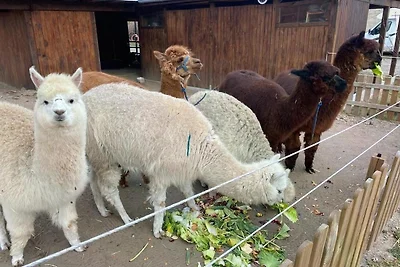 Wohnung IstZeit im Gutshof zum See