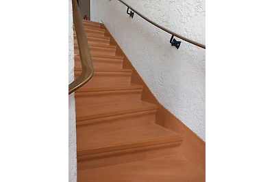 Eifel Ferienhaus mit Hunden