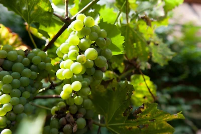 "Ferienglück" in Harmonie und