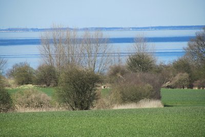 Ferienhaus Bolliger