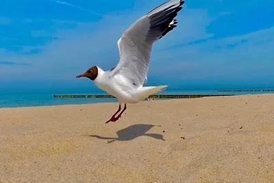 Ferienwohnung zur Kühlung