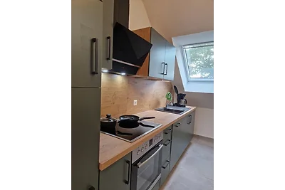 Wohnung 1