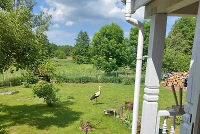 Ferienhaus Storchenwiese, Wald