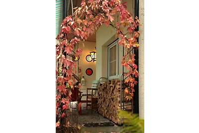 Casa vacanze Vacanza di relax Schenkendöbern