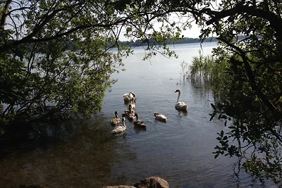 Appartamento Vacanza con famiglia Scharbeutz