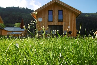 Vakantiehuis Ontspannende vakantie Murau