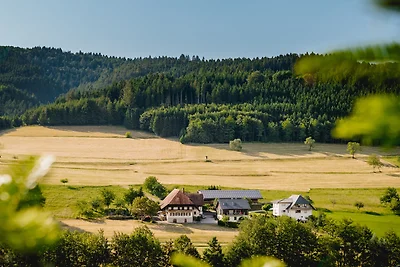 Vakantiehuis Ontspannende vakantie Hofstetten