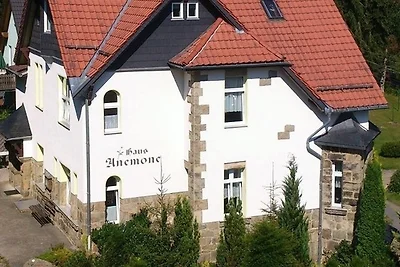 Vakantieappartement Gezinsvakantie Wernigerode