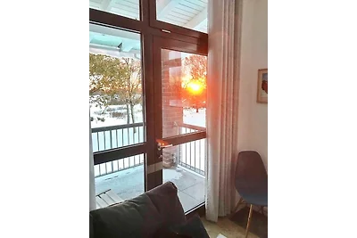 Birdielounge No. 25 - Aurora Vista