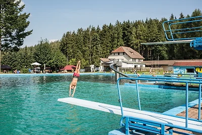 4 Personen mit Sauna (F0H1)