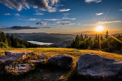 Fewo Sunneschii, Höchenschwand