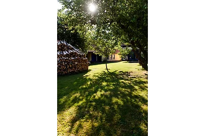 Ferienhaus Kastanie - Klein Siemen