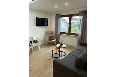 RheinSchatz Apartment 4