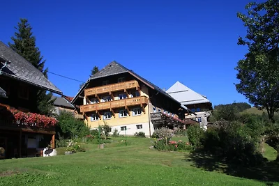 Vakantiehuis Ontspannende vakantie Bernau im Schwarzwald