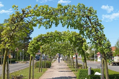 Vakantieappartement Gezinsvakantie Baabe