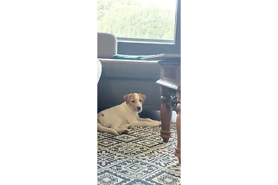 Appartamento Vacanza con famiglia Lautenthal