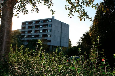 Fewo Hanebuth-Ridder im Haus