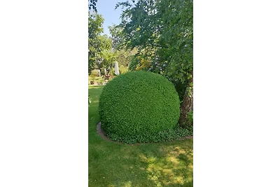 Appartement Schomaker-Fatmann