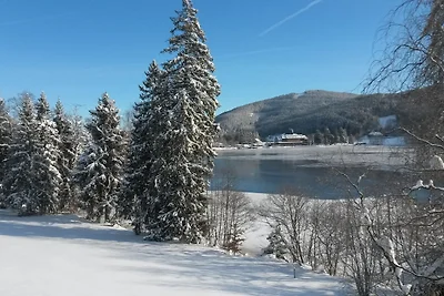 Ferienhaus am Titisee - mit