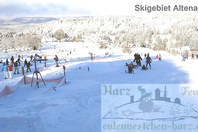 Fewo Eulennestchen-Harz S.1 für