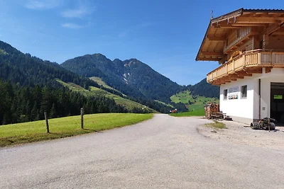 Apartament Dla rodzin Wildschönau