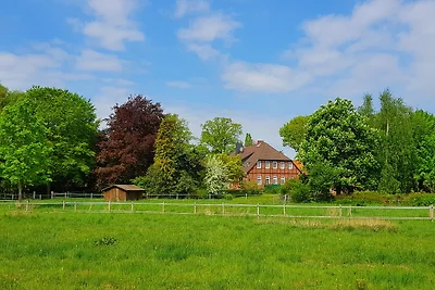 Appartamento Vacanza con famiglia Lüneburg