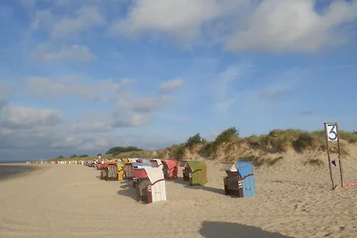 Hansen Nieblum - Whg. 1