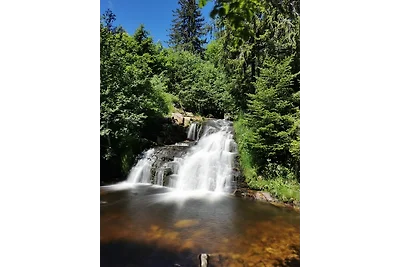 Haus Weitblick - Fewo Herzogenhorn