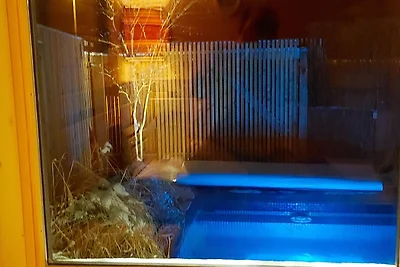 Vakantiehuis Ontspannende vakantie Rimsting