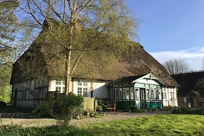 Hof Lücke - Ferienwohnung Natur
