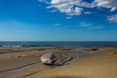Ferienwohnung Friesenliebe in