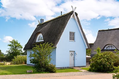 C 5 Premium Reethaus Delphin mit