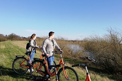 Vakantieappartement Gezinsvakantie Kirchlinteln