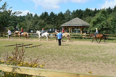 Ferienhof Frohne - Im Kaustall