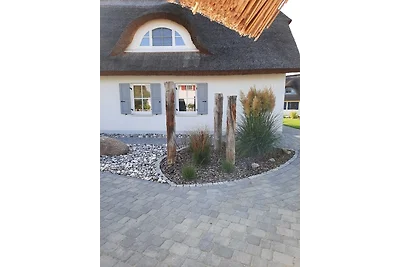 Ferienhaus "Sturmmöwe"