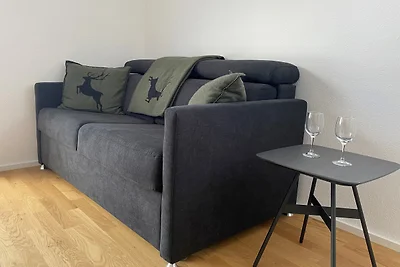 Haus Wiesenquelle - Fewo 1