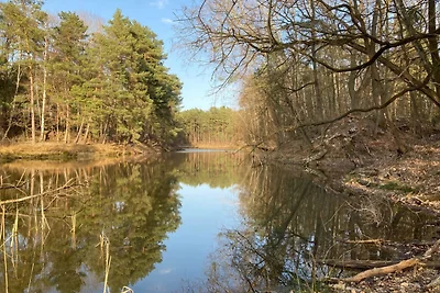 Bungalow im Wald am See - Biberspur
