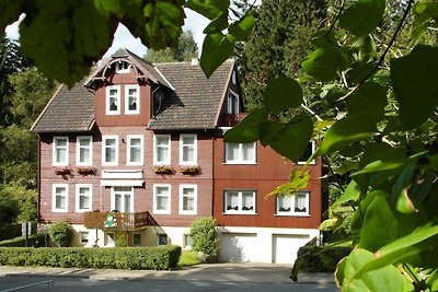 Harzhaus am Brunnen, Wohnung 1
