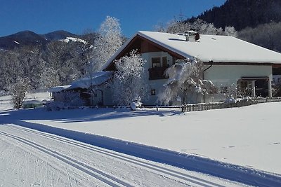 Vakantiehuis Ontspannende vakantie Radstadt