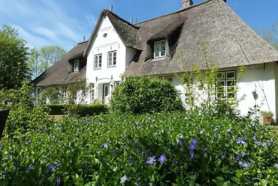 Apartament Dla rodzin Uelvesbüll