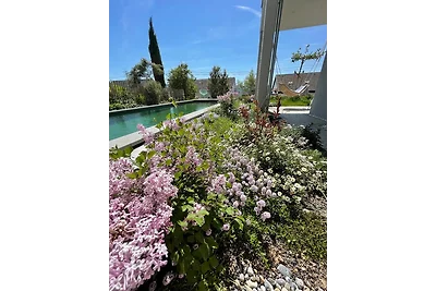 Bodensee-Apartment SeeSucht No 86