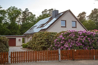 Ferienwohnung Heideperle