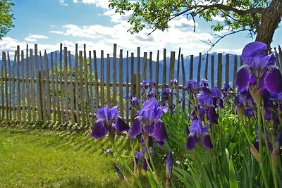 Casa vacanze Vacanza di relax Bolzano