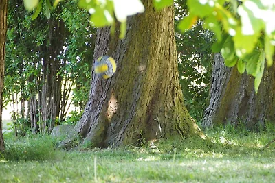 Gut Rattelvitz Parterre A