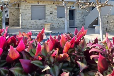 Vakantieappartement Gezinsvakantie 