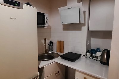 Single room (Cracow Old Town)