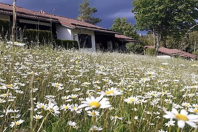 Vakantiehuis Ontspannende vakantie Lechbruck am See